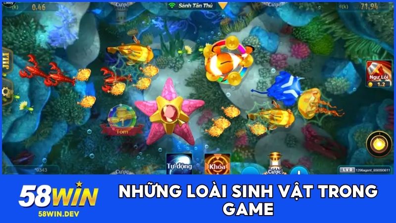 Danh sách các loài sinh vật trong săn cá H5