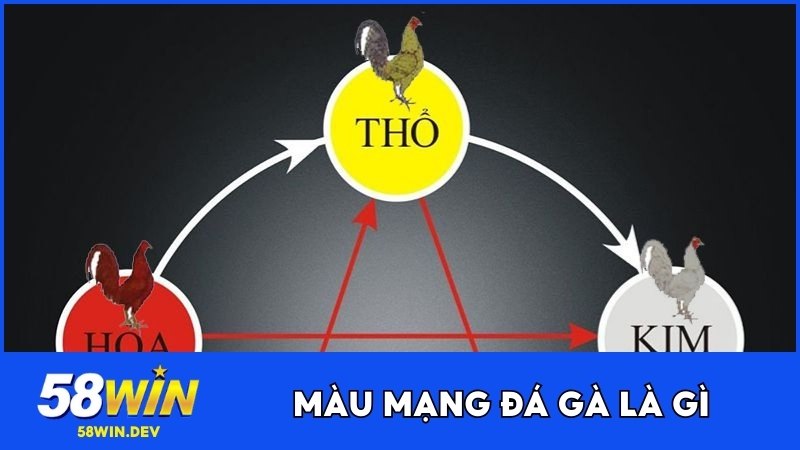 Màu mạng đá gà là gì