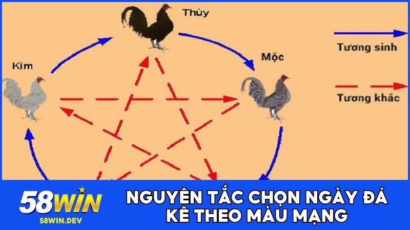 Nguyên tắc chọn ngày đá kê theo màu mạng