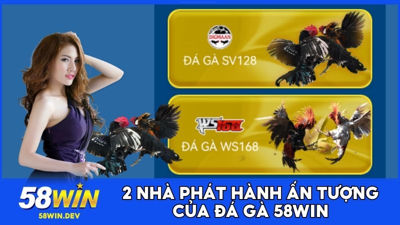 Nhà phát hành trận đấu và kèo cược Đá gà