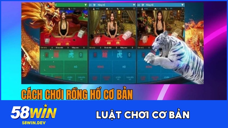 Quy tắc cơ bản trong Dragon Tiger